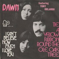 Dawn - Tie a yellow ribbon + I can't believe how much I love you (Vinylsingle)