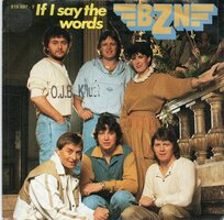 BZN - If I say the words + You give me a dream (Vinylsingle)