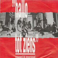 Vrouwelijk Meervoud - Hallo tot ziens + (instr) (Vinylsingle)
