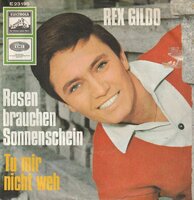 Rex Gildo - Rosen Brauchen Sonnenschein + Tu Mir Nicht Weh (Vinylsingle)