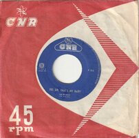 Jan &amp; Kjeld - Yes sir, that's my baby + Can anyone explain (Vinylsingle)