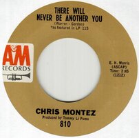 Chris Montez - There will never be another you + You can hurt the one you love (Vinylsingle)