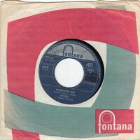 Hotlegs - Neanderthal man + You don't like it, because? (Vinylsingle)
