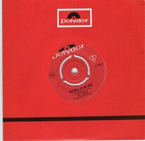 Shoes - Farewell in the rain + What in the world (Vinylsingle)