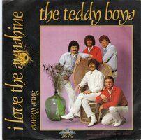 Teddy Boys - I love the sunshine + Sunny song (Vinylsingle)