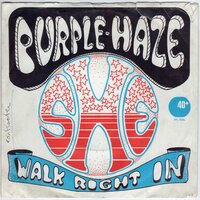 Purple Haze - She + Walk Right In (Vinylsingle)