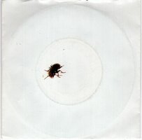 Alexander Curly - Karel De Kever + Wat Heeft 't Allemaal Voor Zin (Vinylsingle)