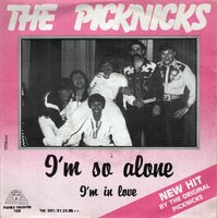 Pick Nick's - I'm so alone + I'm in love (Vinylsingle)