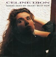 Celine Dion - Where does my heart beat now + I feel too muc (Vinylsingle)