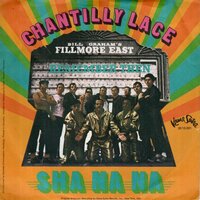 Sha Na Na - Chantilly Lace + Remember Then (Vinylsingle)