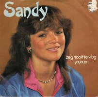 Sandy - Zeg nooit te vlug ja ja ja + Ronny Honey (Vinylsingle)