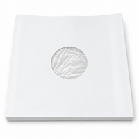 Witte 10" binnenhoezen (met voering) - per 25 stuks