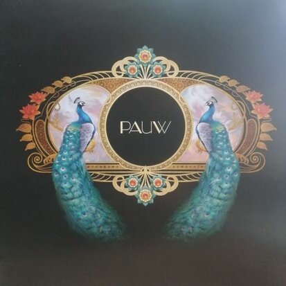 Pauw - Pauw (Vinyl LP)