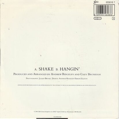Andrew Rigeley - Shake + Hangin' (Vinylsingle)