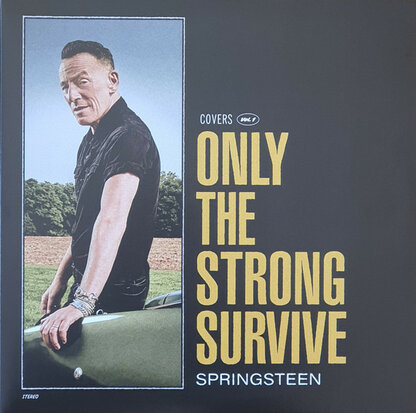 BRUCE SPRINGSTEEN - ONLY THE STRONG SURVIVE -COLOURED- (Vinyl LP)