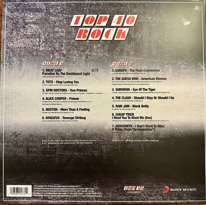 VARIOUS - TOP 40 -ROCK- (Vinyl LP)