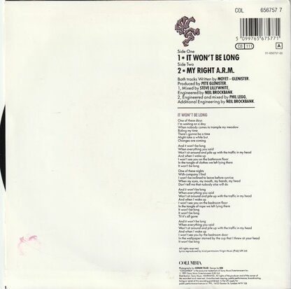Alison Moyet - It won't belong + My right A.R.M. (Vinylsingle)