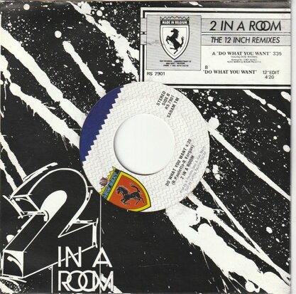 Two in a Room - Do what you want + (12 Edit) (Vinylsingle)
