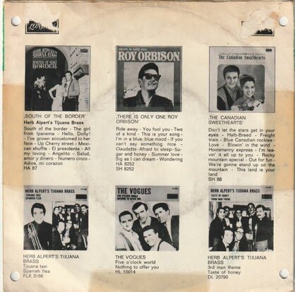 Roy Orbison - Lana + House without windows (Vinylsingle)