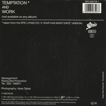 Richenel - Temptation + Work (Vinylsingle)