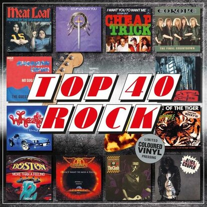 VARIOUS - TOP 40 -ROCK- (Vinyl LP)
