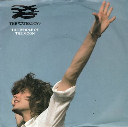 Waterboys - Whole of the moon + Medicine Jack (Vinylsingle)