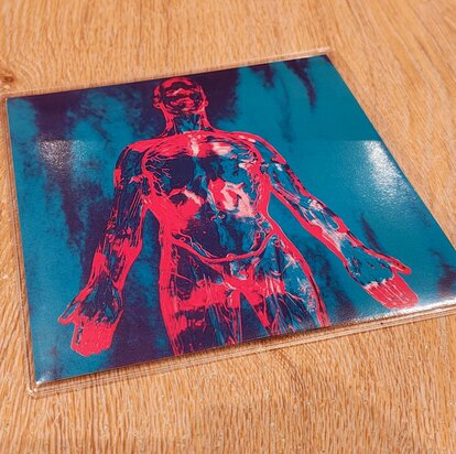 Hard Plastic PVC Beschermhoezen voor vinylsingles (7")  per 10 stuks (Vinylaccessoires)