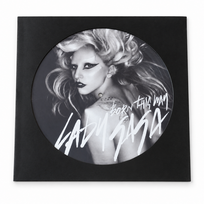LP Picture Disc Hoes (zwart) - per 10 stuks
