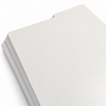 LP Registers Wit Met Tab - per 20 STUKS