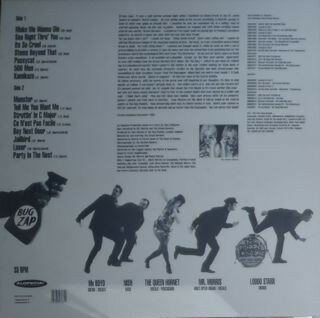 The Green Hornets - Faster Than The Bugzapper (Vinyl LP)