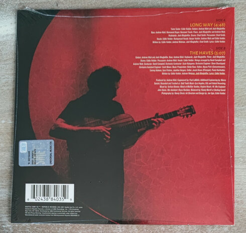 Eddie Vedder - Long Way + The Haves (Vinylsingle)