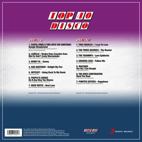 VARIOUS - TOP 40  -DISCO- (Vinyl LP)