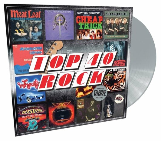 VARIOUS - TOP 40  -ROCK- (Vinyl LP)