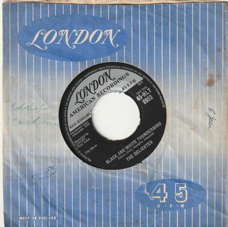 Delicates - Ronnie Is My Lover + Black and White Thunderbird (Vinylsingle)