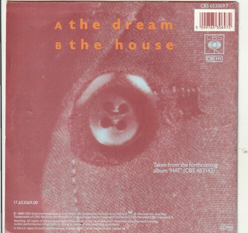 Nits - The dream + The house (Vinylsingle)