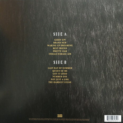 SHANIA TWAIN - QUEEN OF ME (Vinyl LP)