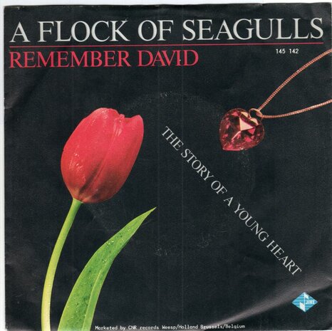 A Flock of Seagulls - Remember David + Story of a young (Vinylsingle)