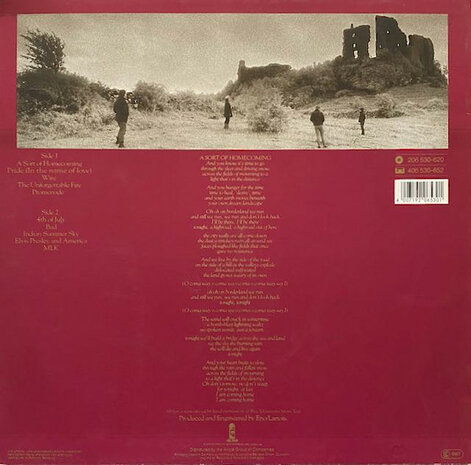 U2 - The Unforgettable Fire (Vinyl LP)
