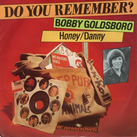 Bobby Goldsboro - Honey + Danny (Vinylsingle)