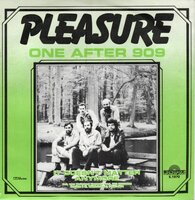 Pleasure - One after 909 + It doesn't matter anymore (Vinylsingle)