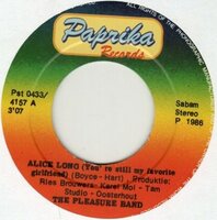 Pleasure - Alice Long (You're Stil My Favorite Girlfriend) (Instrumental) (Vinylsingle)