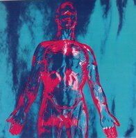 Nirvana - Sliver + Dive (Vinylsingle)