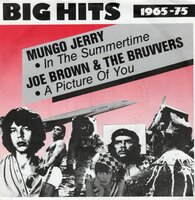 Mungo Jerry / Joe Brown - In the Summertime + A Picture Of You (Vinylsingle)