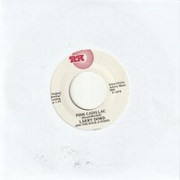 Larry Dowd - Pink Cadillac + Blue Swingin' Mama (Vinylsingle)