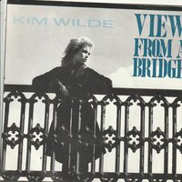 Kim Wilde - View from a bridge + Take me tonight (Vinylsingle)