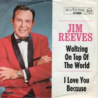 Jim Reeves - Waltzing on top of the world + I love you because (Vinylsingle)