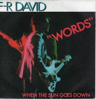 Fr. David - Words + When the sun goes down (Vinylsingle)