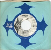 Assemblage - Shot Gunn + Shot Gunn (Vinylsingle)
