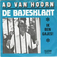 Ad van Hoorn - De Bajesklant + Piraten-Oma (Vinylsingle)
