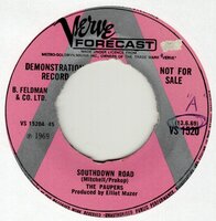 The Paupers - South Down Road + Numbers (Vinylsingle)